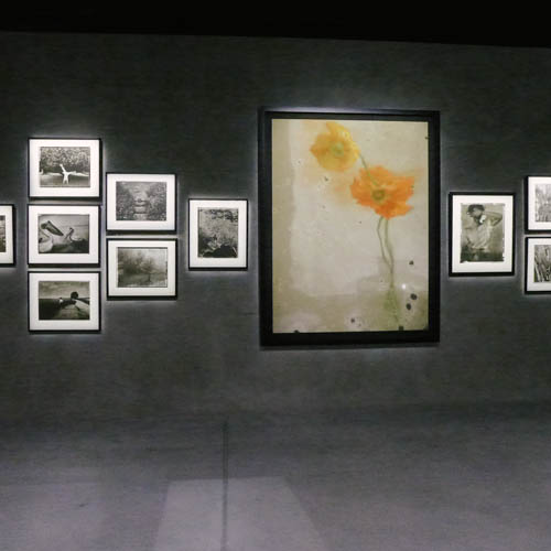the photo exhibition archive-Sarah Moon_web-13