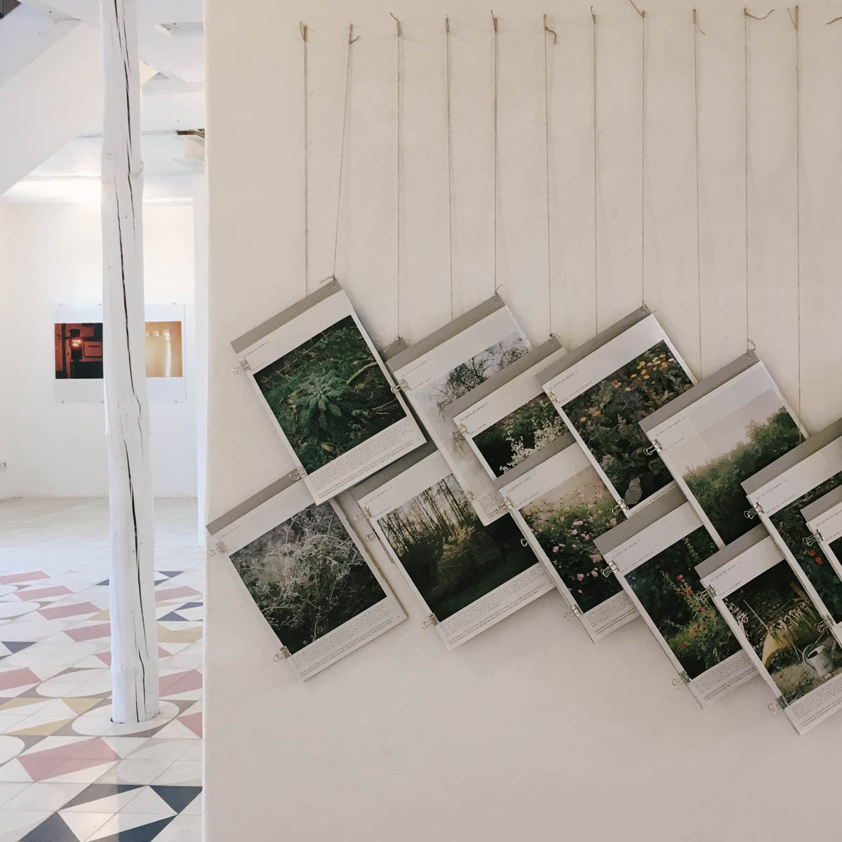 the photo exhibition archive-Anna Schwalbe-4